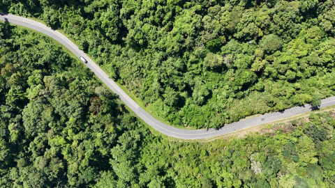Biodiversity 'treasure' of Nui Ong